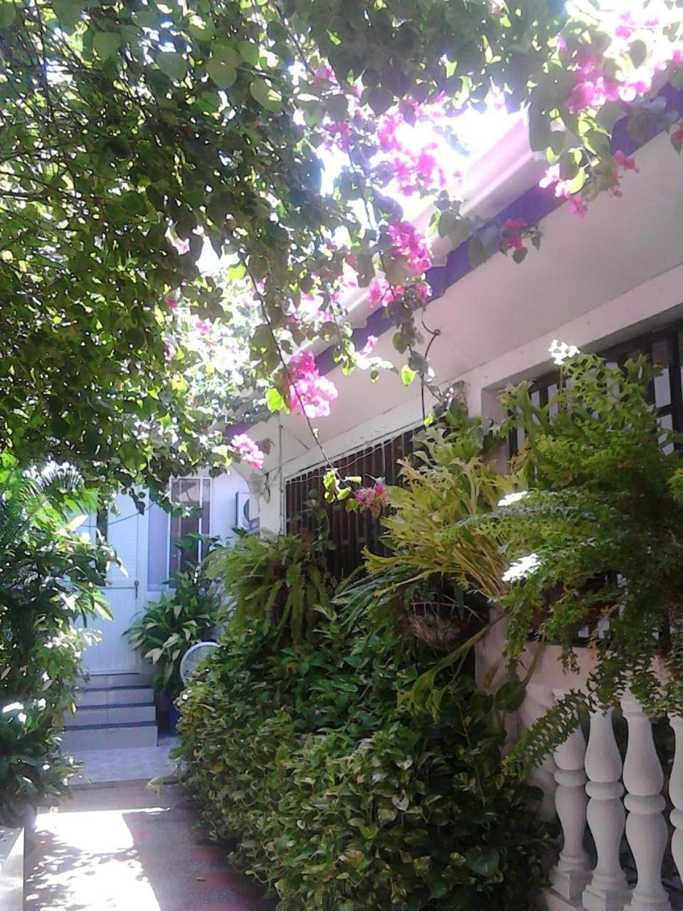 Vianova'S Place Posada Nativa San Andrés Exteriér fotografie
